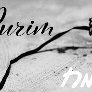 Purim III